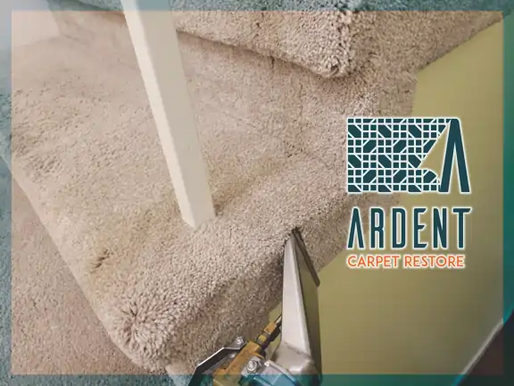 Cleaning wall-wrap carpeting