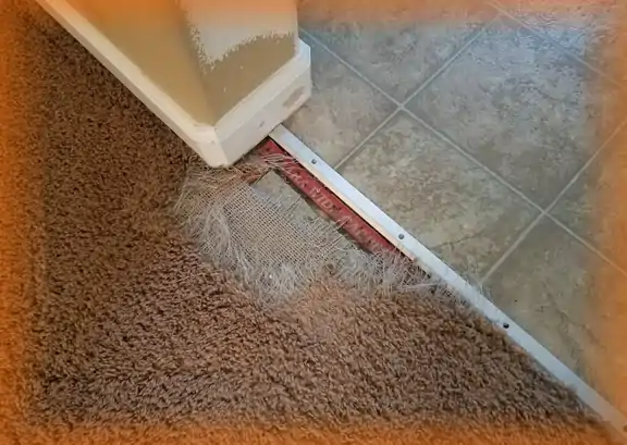 A large hole in the carpet, damaged by a dog