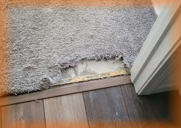 Wall-to-wall, wool carpet damaged by moths before repair