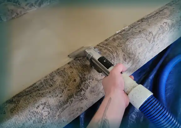 Upholstery cleaning deck of a sofa